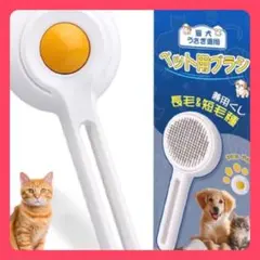 Item thumbnail for item 0289ef5a-b9ac-4b41-b727-17130916ab8d