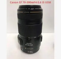 Item thumbnail for item 12deb45d-79fe-412f-9ffa-5b95ef415f9e