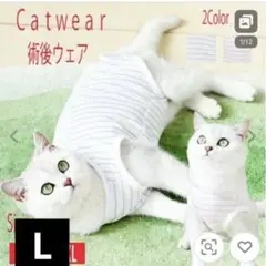 Item thumbnail for item 18daf209-b135-48a2-8946-211c187b80c0