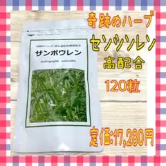 【新品 未開封】サンポウレン 120粒 奇跡のハーブ・穿心漣を高濃度配合