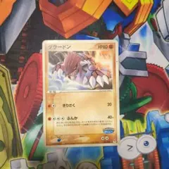 ポケモンカード ポケカ グラードン ポケパークプレミアムファイル