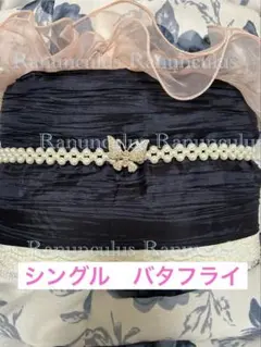 Item thumbnail for item 062f25ba-5066-4acf-a19e-5a2eea1211d8