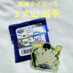 オールスターゲーム シークレット アクリルネームバッジ 大山 選手