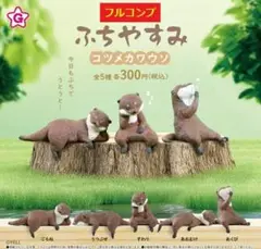 【全５種セット】　ふちやすみ　コツメカワウソ　　フィギュア　　コンプ
