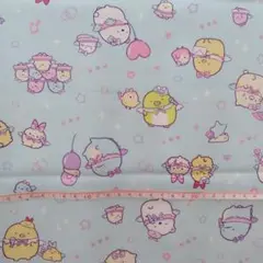 すみっコぐらし(5)