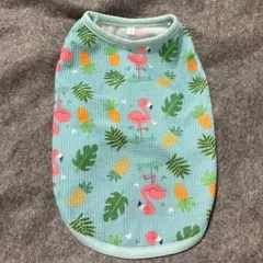 Item thumbnail for item 32070537-2f59-4b24-984f-e64882b470f4