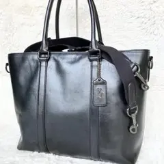 Item thumbnail for item be76d015-b68c-46aa-b7e6-1a9597e50def