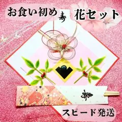 Item thumbnail for item 6d081a95-811c-42a0-bfdc-5cdebb5cb423