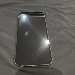 iPhone 12pro 256GB