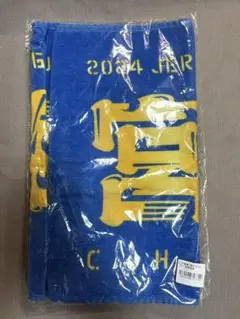 ベイスターズ　宮崎　タオル　CS
