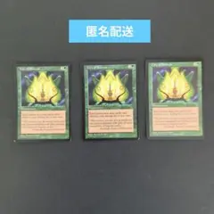 MTG　孤独の都　City of Solitude　VIS　英語版　3枚