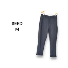 Item thumbnail for item ef31d199-1490-4968-ba00-f93149ba46df