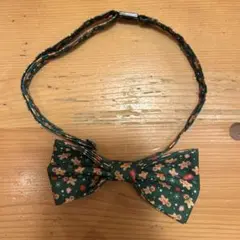 Item thumbnail for item 83fc6a80-ec01-44a2-9baa-328b399c3374