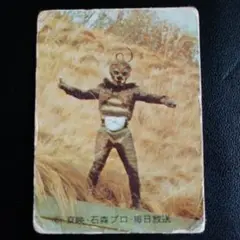 カルビー　旧仮面ライダーカード(No.116)