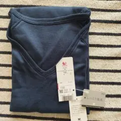 Item thumbnail for item 5e917927-d91c-490c-a3e0-3f187f40f994