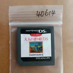 こころを休める大人の塗り絵DS