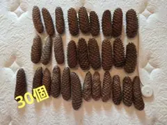 松ぼっくり 30個セット 茶色