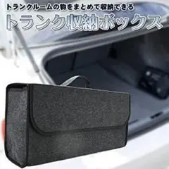 Item thumbnail for item 91d0edad-1a17-49f8-a334-3113c9f2de44