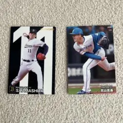 プロ野球チップス カード
