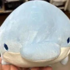 イルカぬいぐるみ　特大　1等 大洗水族館限定 イルカぬいぐるみ 特大 1等 大洗水族館限定 - メルカリ