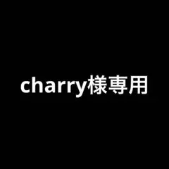 専用