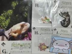 一番くじ　爬虫類&両生類　ジッパーバッグ　クリアファイル　ラバーコレクション