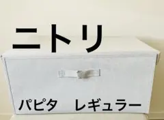 パッと開いてピタッと閉じる収納ボックス　パピタ　レギュラー
