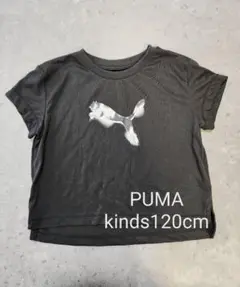 PUMA プーマ kinds キッズ120cm