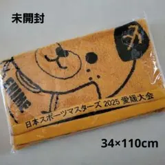 Item thumbnail for item 1a6a9752-6260-4674-875d-f444d978dcb7