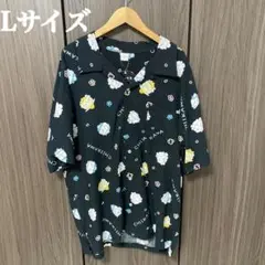 Item thumbnail for item efa23d53-d6e8-4ad1-b8e5-a0d966eb622c