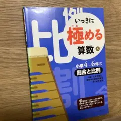 いっきに極める算数 6