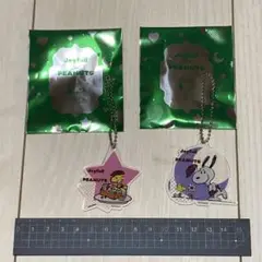 ジョイフル Joyfull　PEANUTS スヌーピー　アクリルキーホルダー