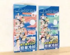 新品▼ 2つセット ヒラカワ ひんやりジェルスカーフ スポーツ 畑 ウォーキング