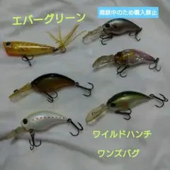 エバーグリーン ワイルドハンチ ワンズバグ 6点セット
