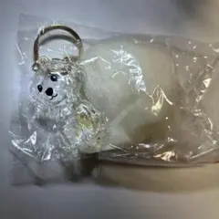 Item thumbnail for item 8c15316c-54b9-4db8-a0b5-fe9943b59af1