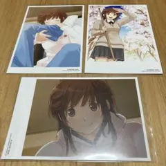 アマガミ　桜井 梨穂子　ポストカード　3種セット