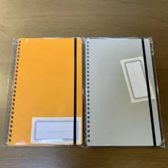 Item thumbnail for item 2d59310a-0974-4181-8dd2-8a20e5ff888a