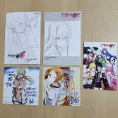 2025年最新】アカメが斬る イラストカードの人気アイテム - メルカリ