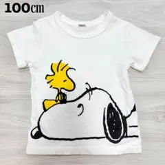 ピーナッツ　100㎝ スヌーピー　半袖　Tシャツ　男の子　女の子　男女兼用