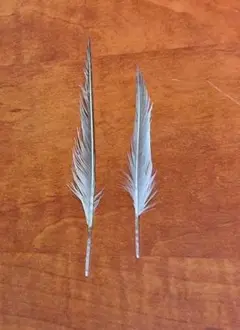 現在購入不可。