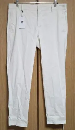 【美品】PTトリノ 52 ストレッチ スラックス　 Active EPSILON