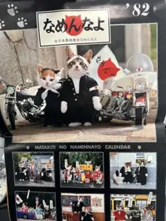 Item thumbnail for item 9ab519ff-a946-4b52-8fc5-f22c4366fc85