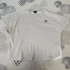 グリーンレーベル　Tシャツ