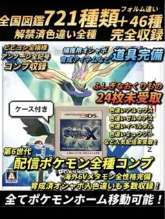 ポケットモンスターXケース付き