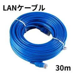 LANケーブル　30ｍ　青色　RJ-45　高速　ネットワーク　ケーブル