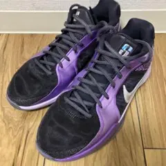 NIKE サブリナ 2 "Court Vision" EP 25cm