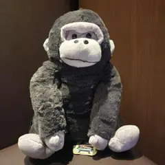 Item thumbnail for item 8e19f2da-4418-49e0-8a05-db500112e630