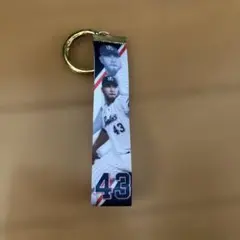 ヤクルトスワローズ　スアレス