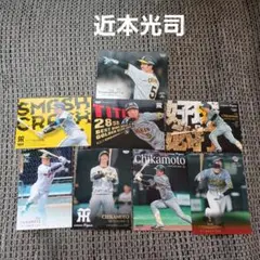BBM 阪神タイガース 近本光司　8枚セット