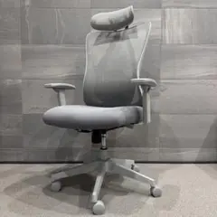 FlexiSpot C5 オフィスチェア　フレキシスポット